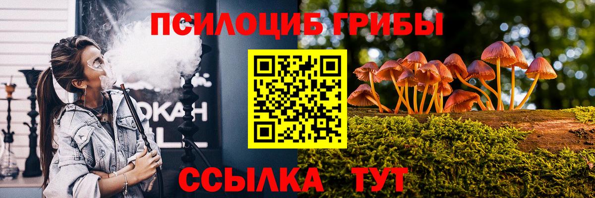 Псилоцибиновые грибы GOLDEN TEACHER Кохма